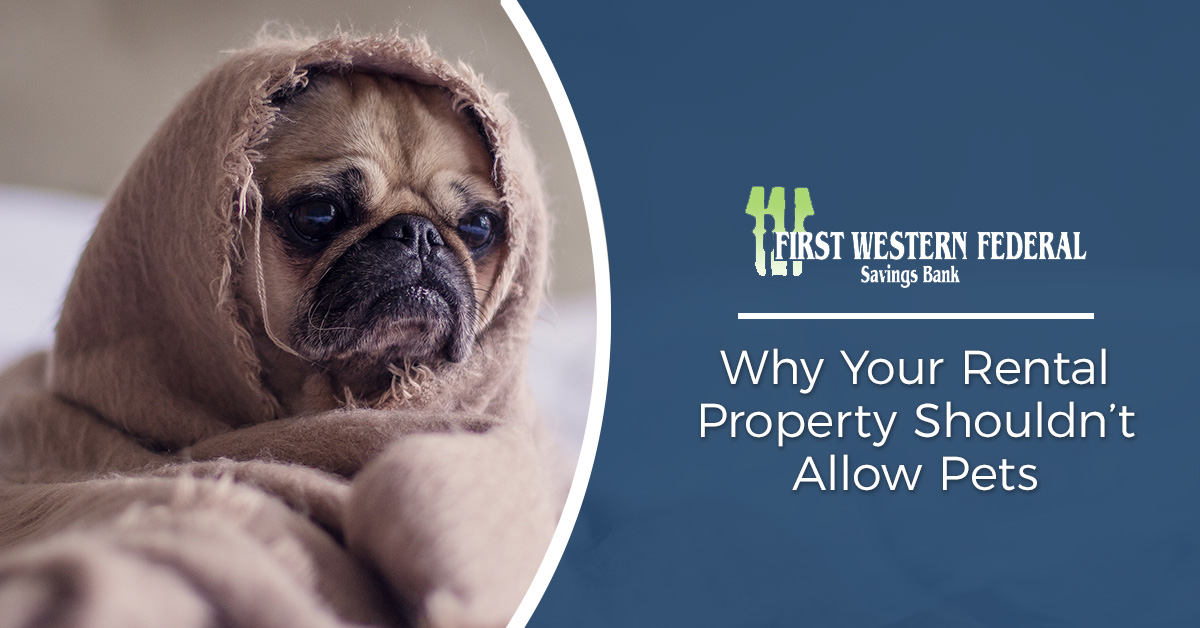 Why-Your-Rental-Property-Shouldnt-Allow-Pets-5cb878d8e3cc2