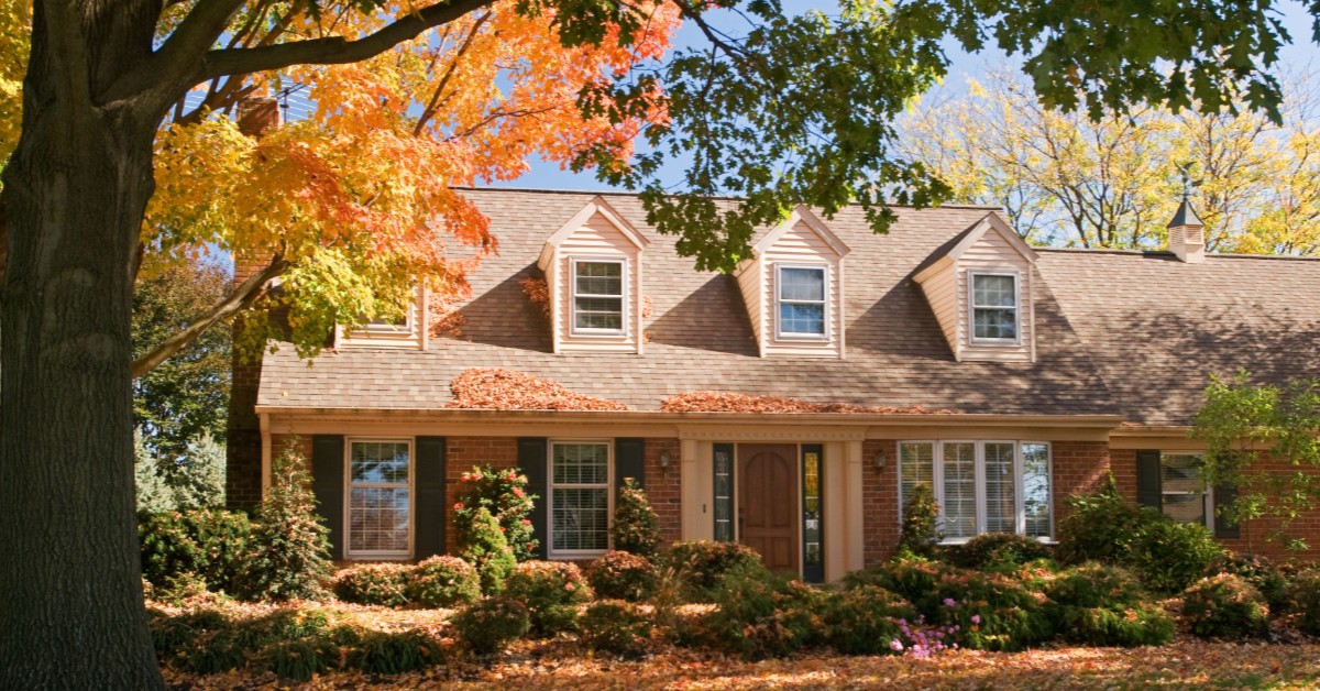 banner-2020-09-24T080648-922-5f6ca842e3370