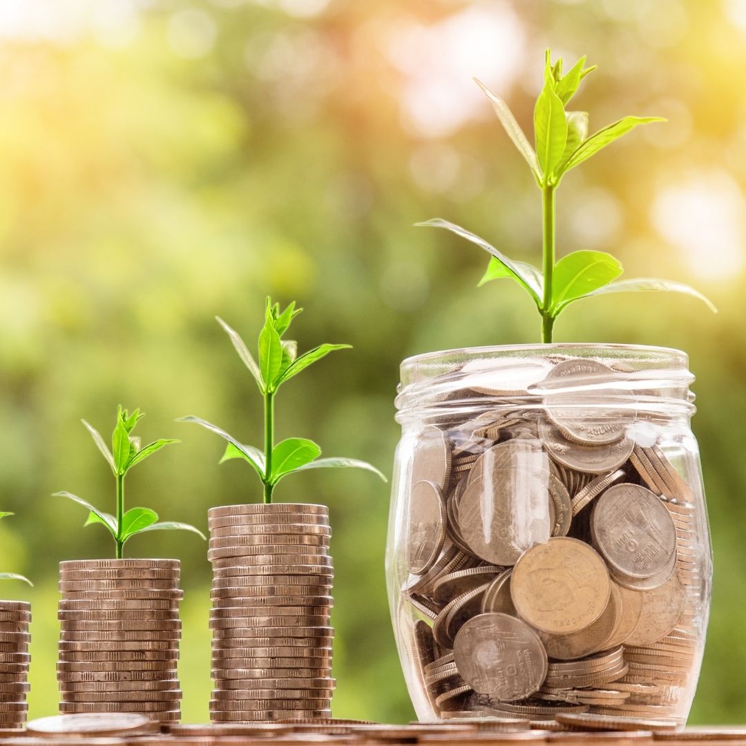 money "growing" concept