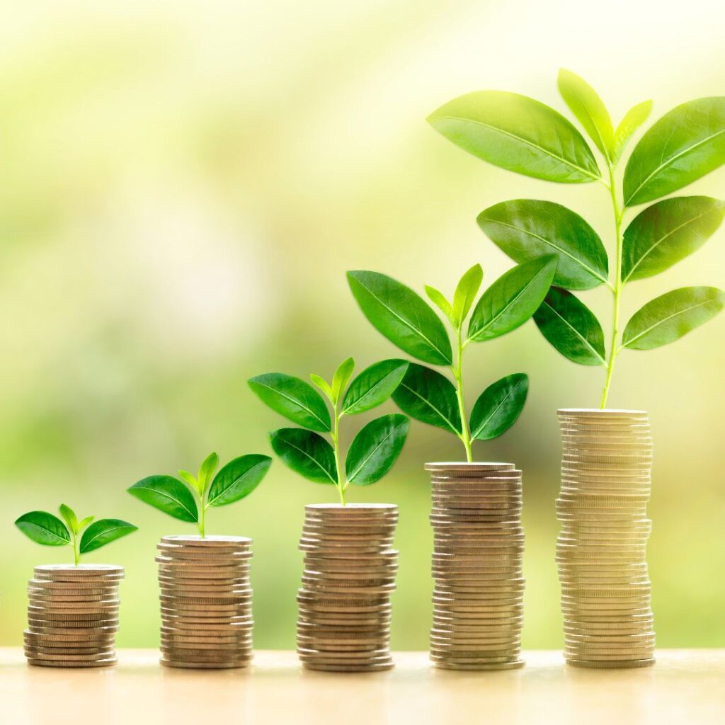growing investment