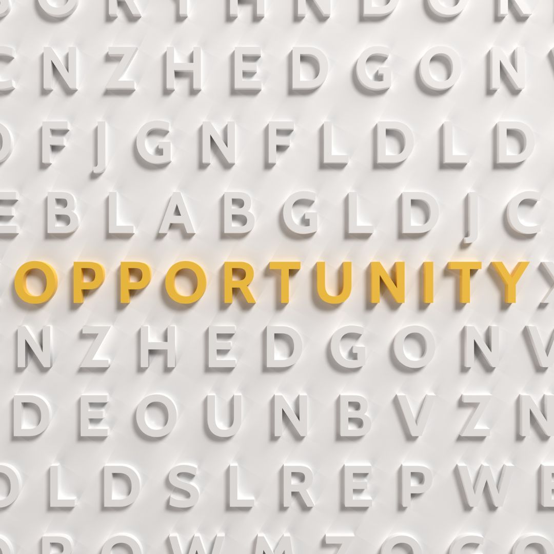 a word search with the word opportunity highlighted