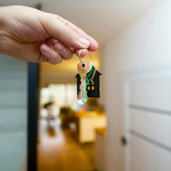 The Role of Property Values  
