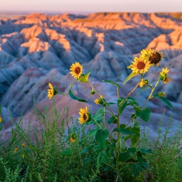 Benefits of Non-Recourse Lending in South Dakota
