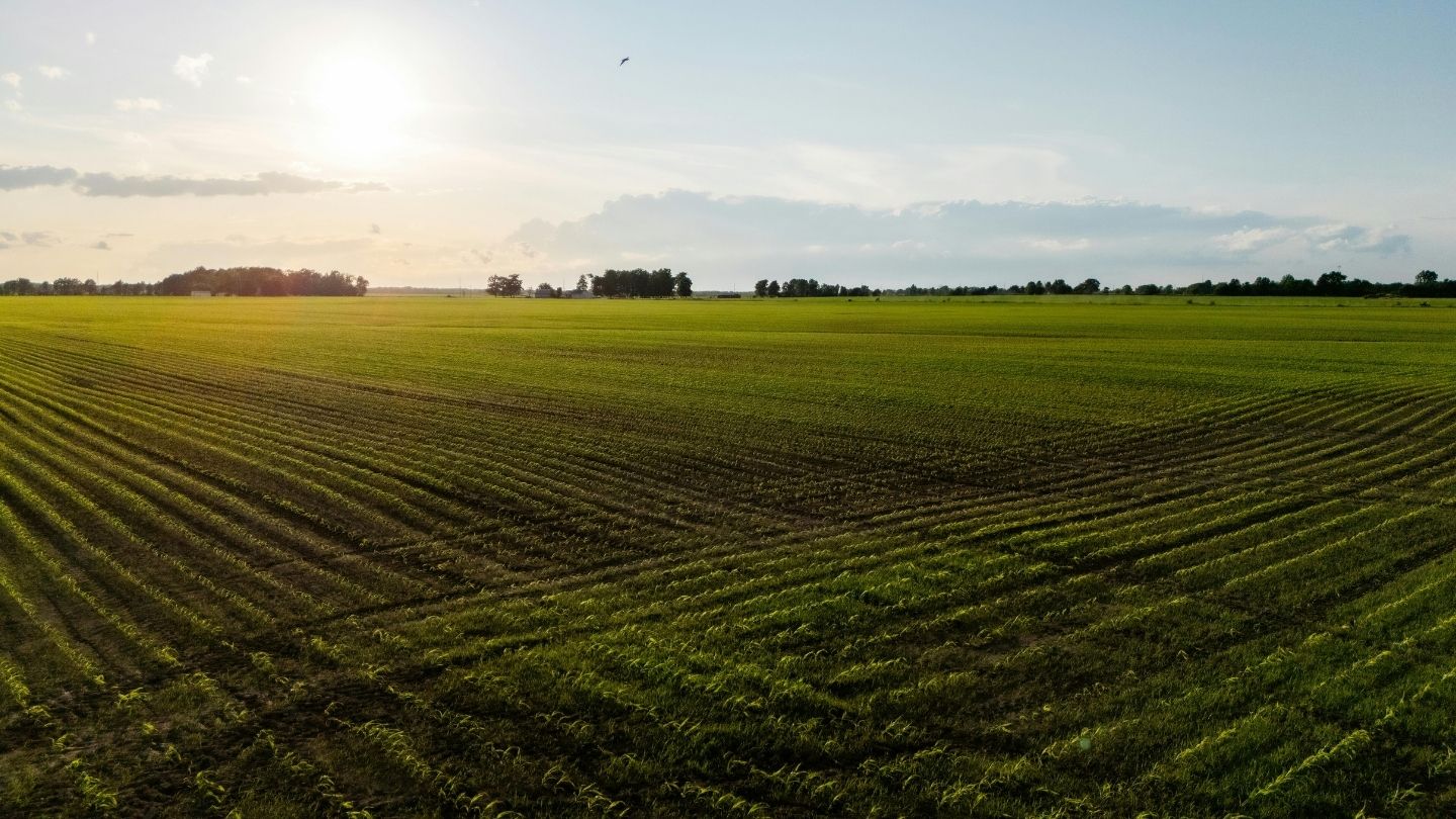 How First Western Federal Savings Bank Supports South Dakotas Agricultural Real Estate Market - Hero